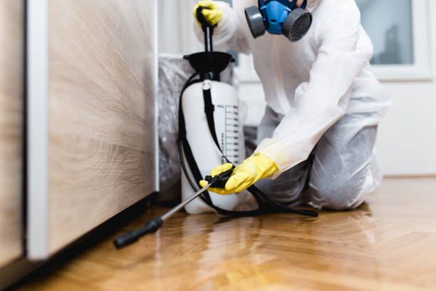 Best Wasp Removal Services  in Essex Fells, NJ