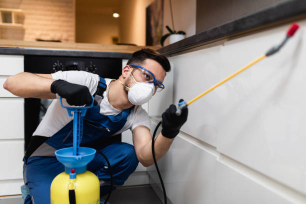 Best Best Pest Control Near Me  in Essex Fells, NJ