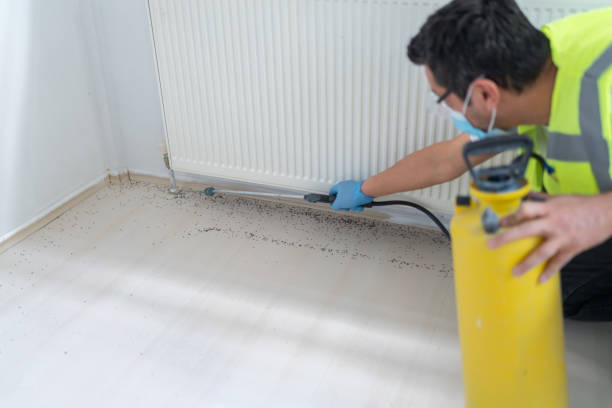 Best Exterminator Services  in Essex Fells, NJ