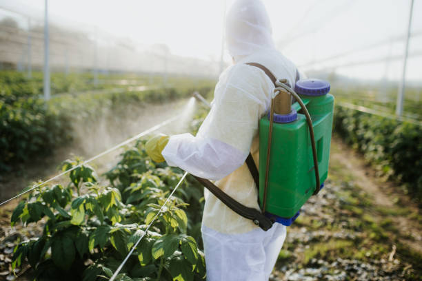 Best Pest Removal Services  in Essex Fells, NJ
